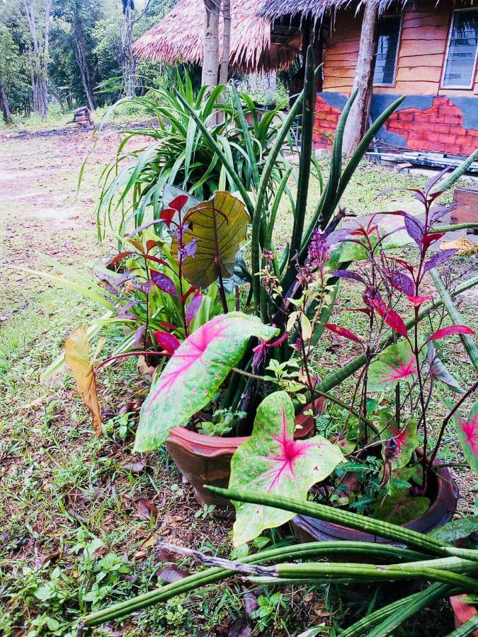 Baan Jing Jai Homestay Resort Lanta Ko Lanta Exterior foto
